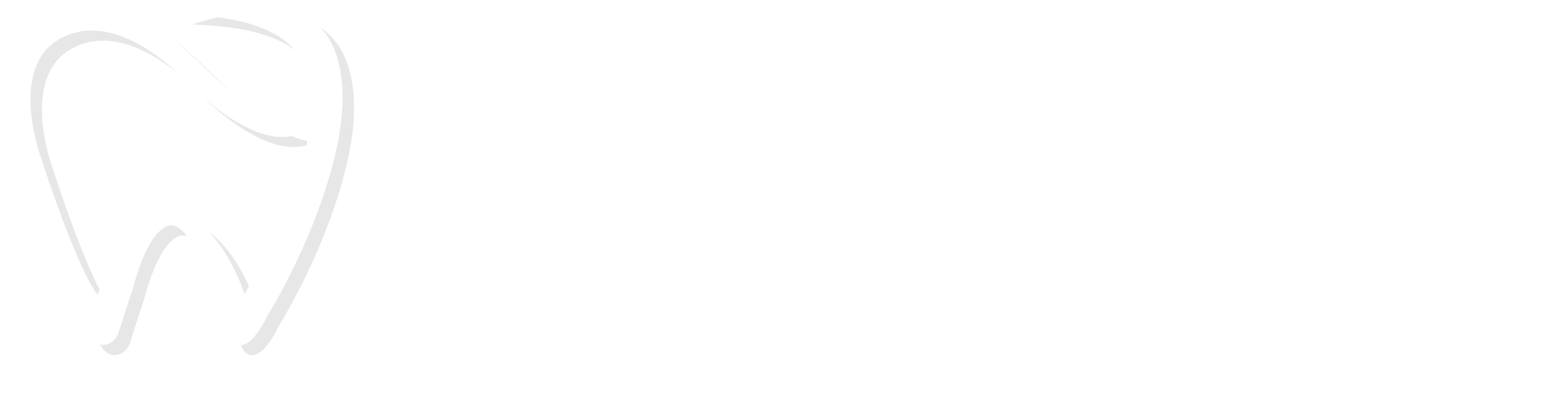 Dentist in Edgewater
